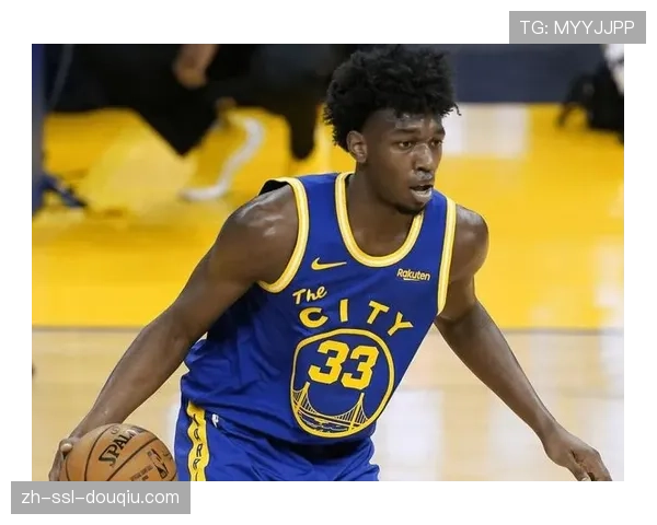 观点分析:传统中锋价值回归?数据显示季后赛球队更依赖高禁区命中率